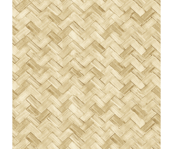 AMA Cristiana Masi Amazzonia tapétakönyv