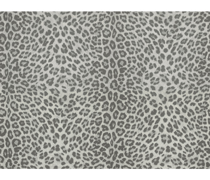 AMA ZAMBAITI PARATI Philipp Plein tapétakönyv