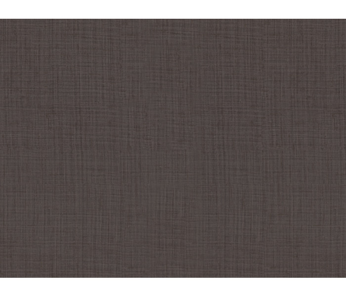 AMA ZAMBAITI PARATI Philipp Plein tapétakönyv