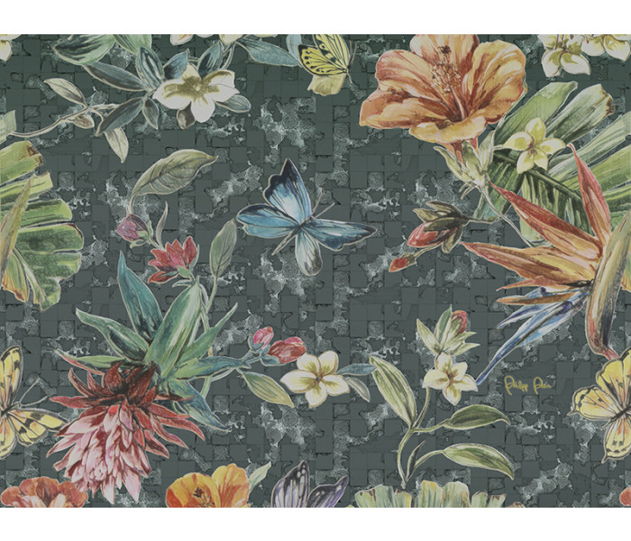 AMA ZAMBAITI PARATI Philipp Plein tapétakönyv