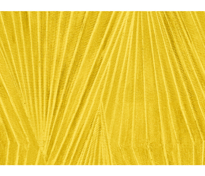 AMA ZAMBAITI PARATI Lamborghini tapétakönyv