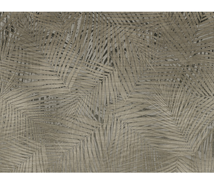 AMA ZAMBAITI PARATI Lamborghini tapétakönyv