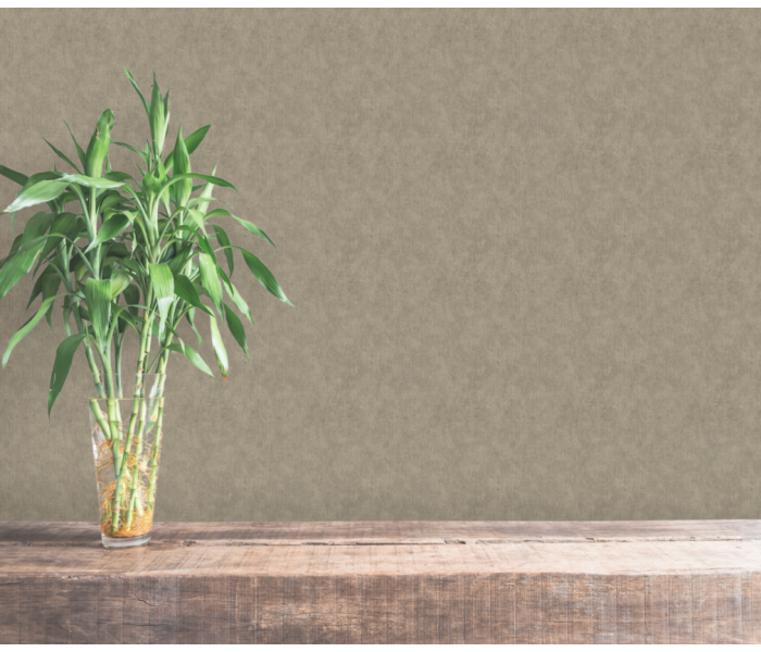 AMA Nina Hancock Wallpaper Perla