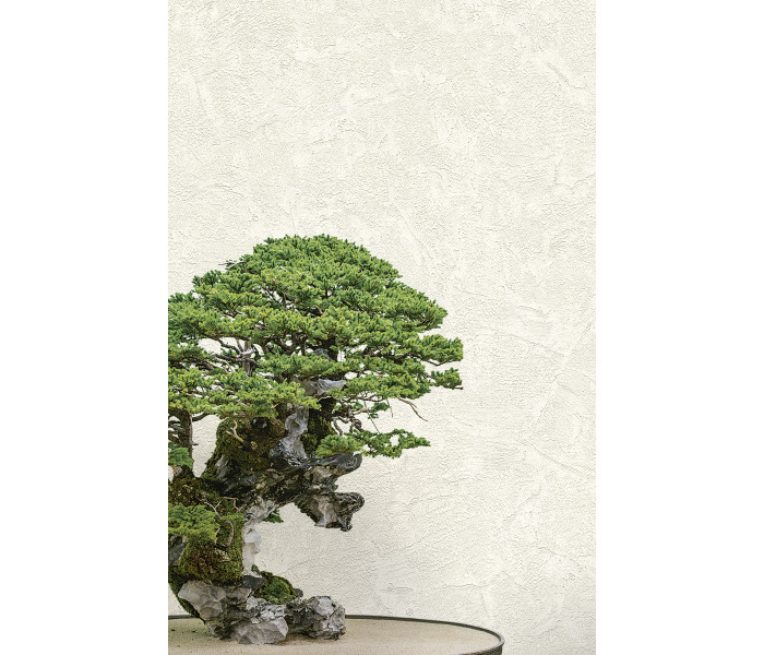 AMA Emiliana Parati Zen tapétakönyv