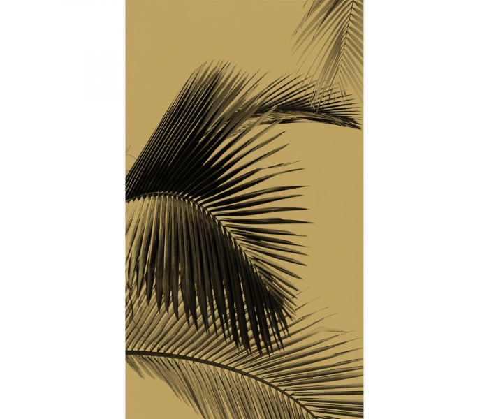 DC Caselio Moonlight tapétakönyv