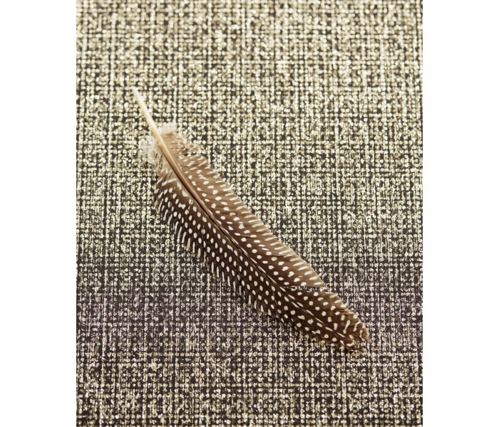 DT Eijffinger Reflect tapétakönyv