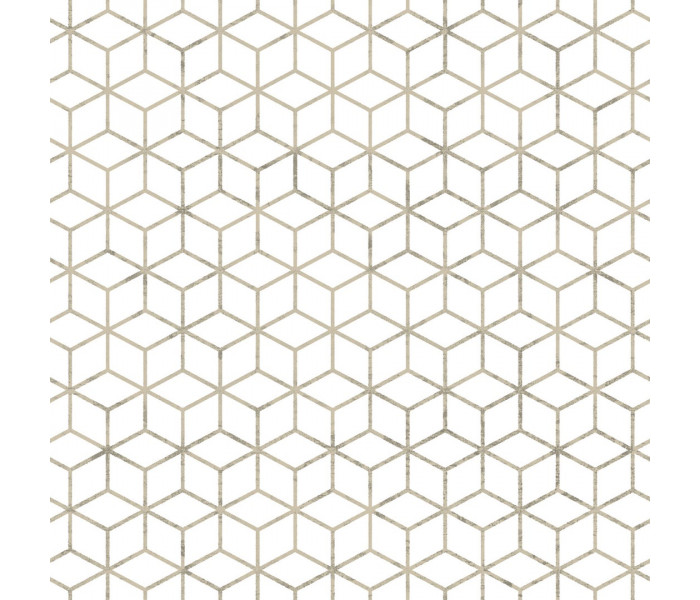 AMA Cristiana Masi Zero tapétakönyv