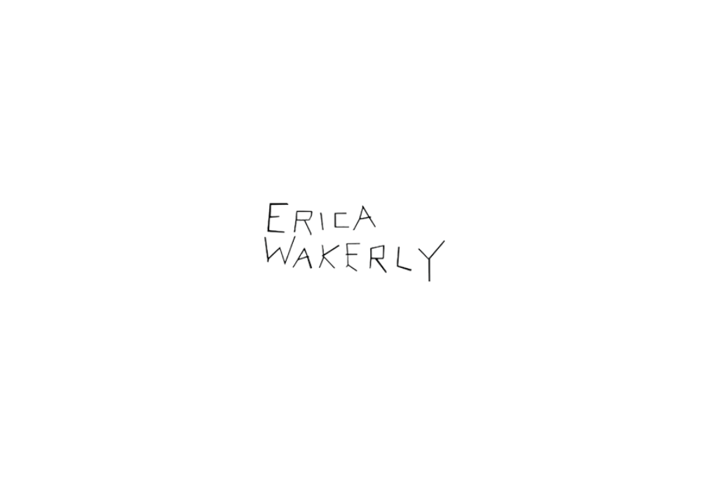 AMA Erica Wakerly tapétakönyv