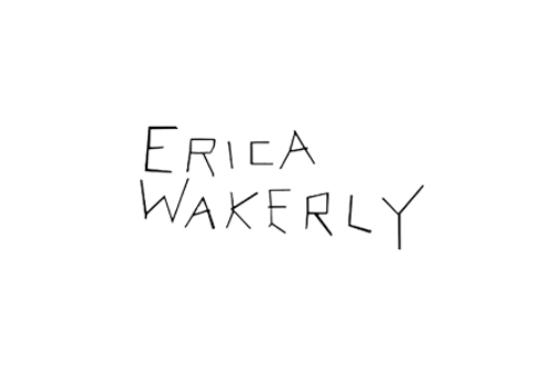 MA Erica Wakerly tapétakönyv